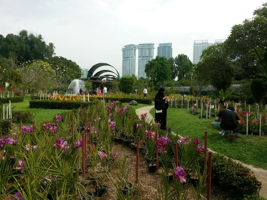 Orchid garden